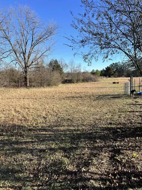 184 Nix Rd, Mount Vernon, AR 72111 photo 2