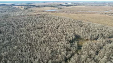 tbd Little River 32, Ashdown, AR 71822 photo 3