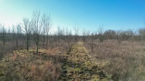tbd Little River 32, Ashdown, AR 71822 photo 4