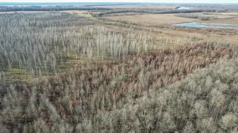 tbd Little River 32, Ashdown, AR 71822 photo 8
