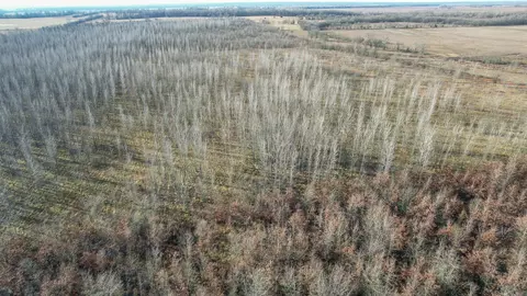 tbd Little River 32, Ashdown, AR 71822