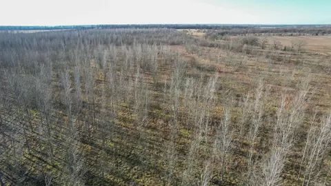 tbd Little River 32, Ashdown, AR 71822 photo 9