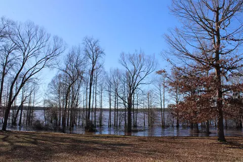 101 Waters Edge, Taylor, AR 71861 photo 3