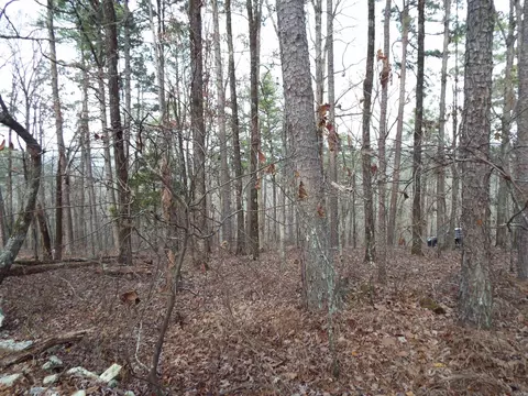 52 Montonoso Way, Hot Springs Village, AR 71909