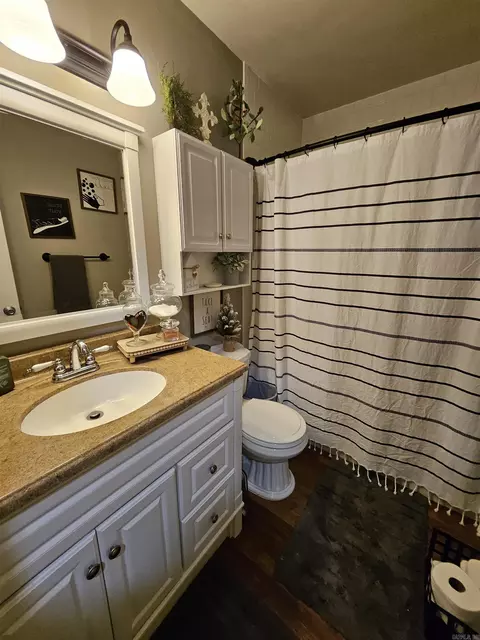 225 Sunny Gap Rd, Conway, AR 72032 photo 17
