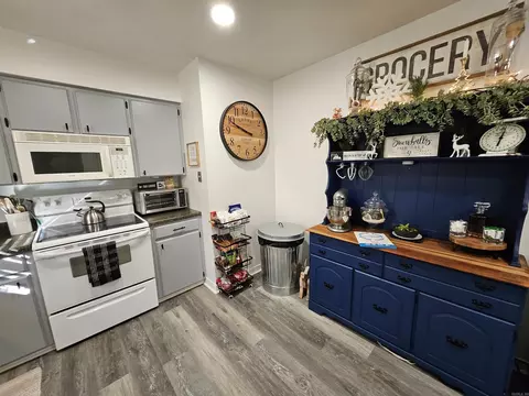 225 Sunny Gap Rd, Conway, AR 72032 photo 12