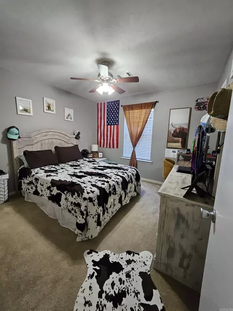 225 Sunny Gap Rd, Conway, AR 72032 photo 19