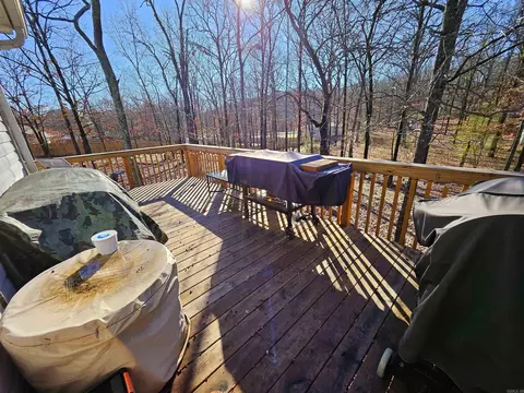 225 Sunny Gap Rd, Conway, AR 72032 photo 24