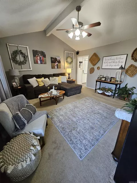 225 Sunny Gap Rd, Conway, AR 72032 photo 9