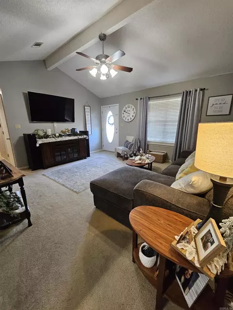 225 Sunny Gap Rd, Conway, AR 72032 photo 10