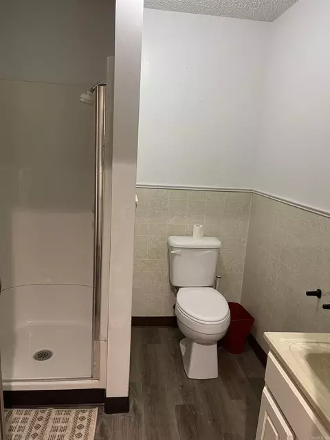 Bath - 915 Tower Loop, Mountain View, AR 72560 photo 5 of 6