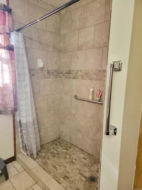 Bath - 1004 Oak Ave, Mena, AR 71953 photo 2 of 3