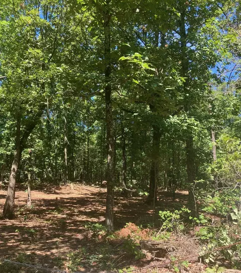605 Lone Oak Rd, Williford, AR 72482