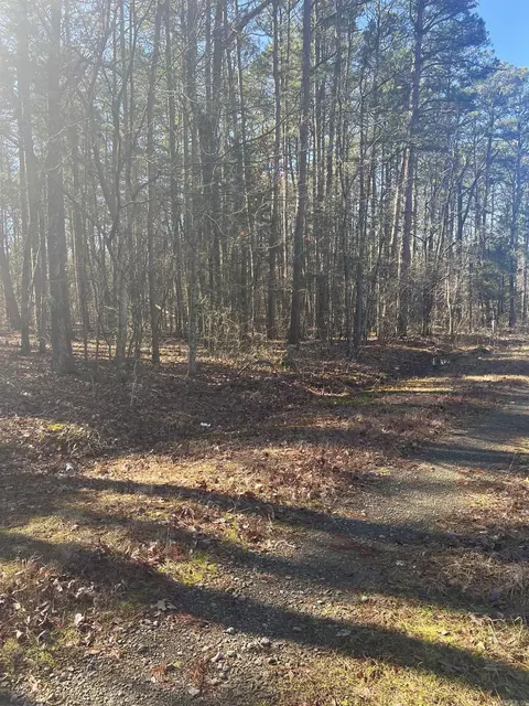 lot6 Mitchell Rd, Higden, AR 72067 photo 3