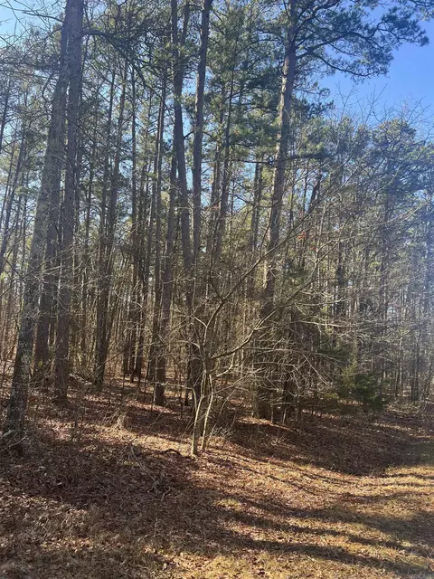 lot6 Mitchell Rd, Higden, AR 72067 photo 2