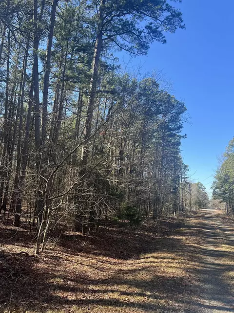 lot6 Mitchell Rd, Higden, AR 72067 photo 4