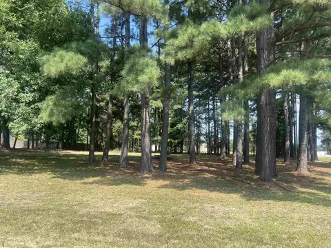 0 Michael Ann, White Hall, AR 71602 photo 2