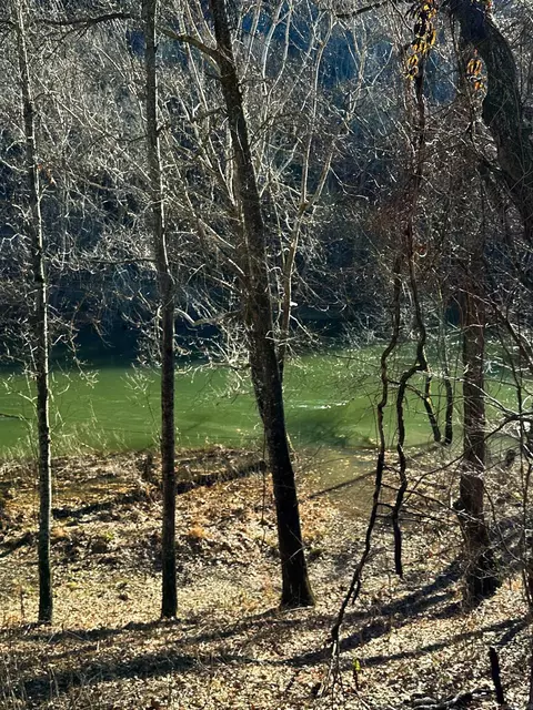 lot5 A Wildflower Rd, Heber Springs, AR 72543