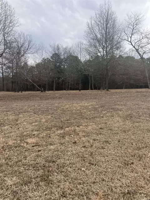 00 Tice Rd, Higden, AR 72067 photo 6