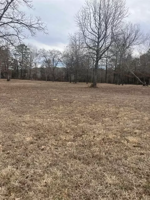 00 Tice Rd, Higden, AR 72067 photo 4