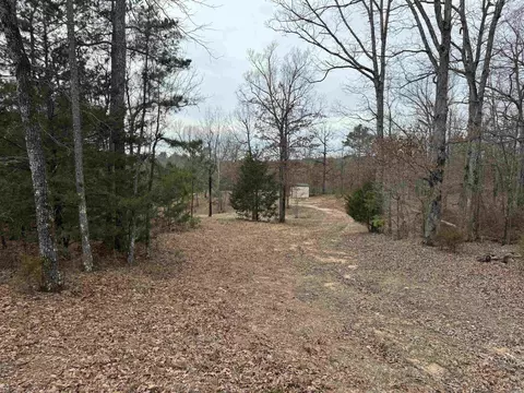 14 Gentry Rd, Dolph, AR 72528 photo 4