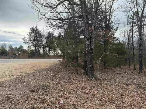 14 Gentry Rd, Dolph, AR 72528 photo 2