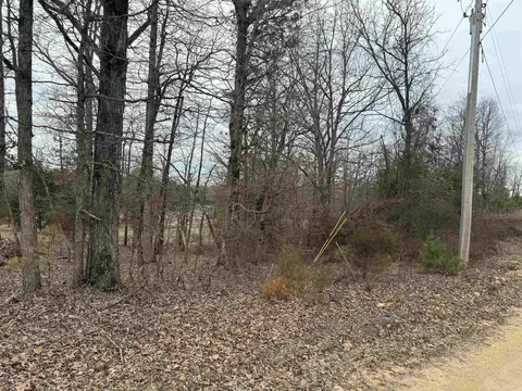 14 Gentry Rd, Dolph, AR 72528 photo 5