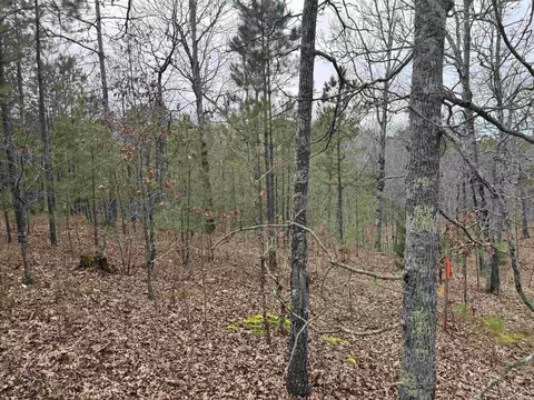14 Gentry Rd, Dolph, AR 72528 photo 10
