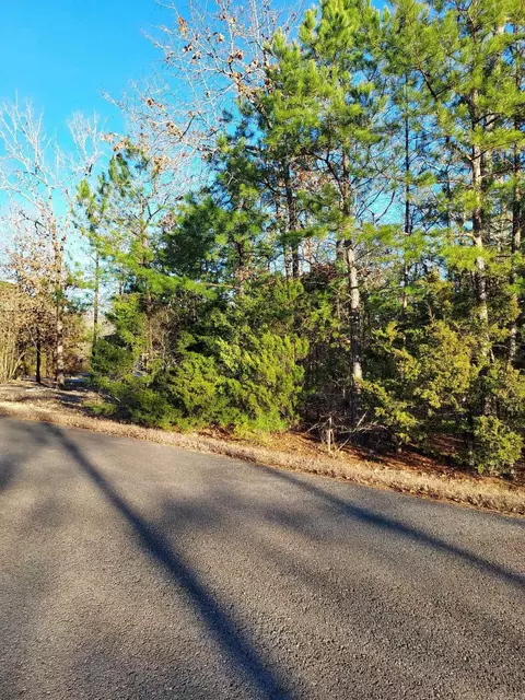 12 Coraza Cir, Hot Springs Village, AR 71909