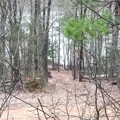 lot27 Pettit Dr, Edgemont, AR 72044