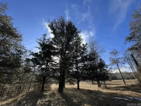 2563 Logan Gap Rd, Norman, AR 71960 photo 2