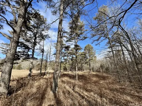 2563 Logan Gap Rd, Norman, AR 71960 photo 17