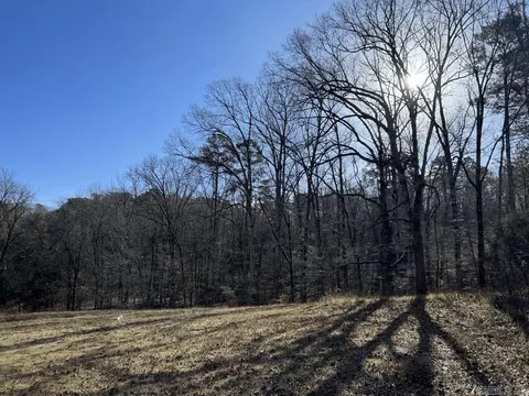 2563 Logan Gap Rd, Norman, AR 71960 photo 8