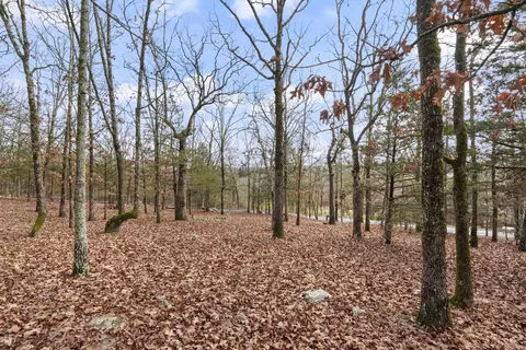 View/Area - 11 Blue Jay Way, Conway, AR 72032 photo 4 of 4