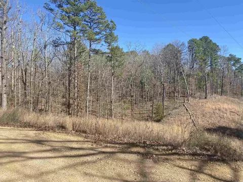 44 Lolas Lane Ln, Glenwood, AR 71943