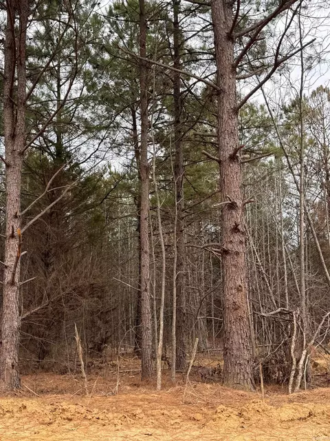 14 Whitetail Drive, Ward, AR 72176 photo 8