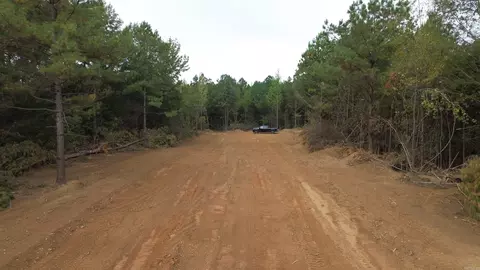 14 Whitetail Drive, Ward, AR 72176 photo 6