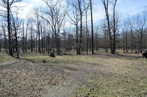 86 Hidden Vly, Conway, AR 72034 photo 2