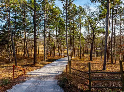 View/Area - 80 E Cardinal Rd, Cave City, AR 72521 photo 15 of 15