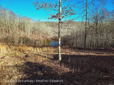 7895 254 Hwy, Dennard, AR 72629 photo 1