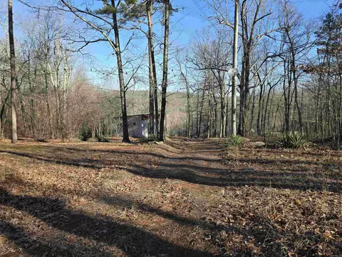 7895 254 Hwy, Dennard, AR 72629 photo 3