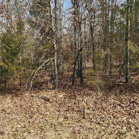 L19 B02 Awi Trail, Cherokee Village, AR 72529