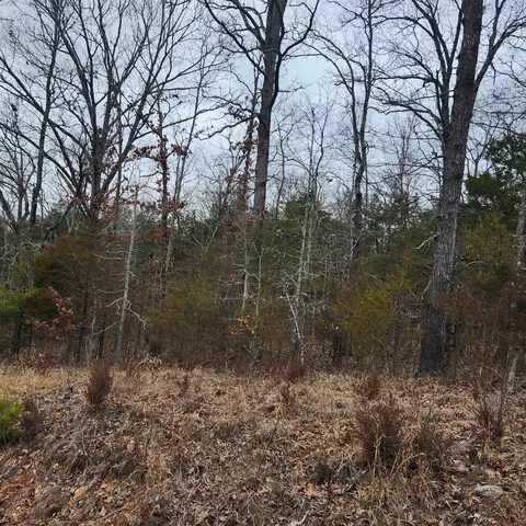 L10, Cherokee Village, AR 72529