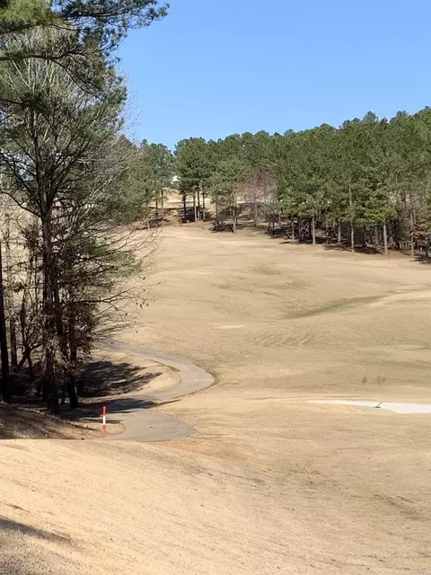 6 Sitiar Way, Hot Springs Village, AR 71909