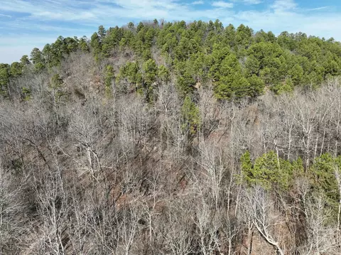 View/Area - 149 Jerry Ln, Mena, AR 71953 photo 13 of 23