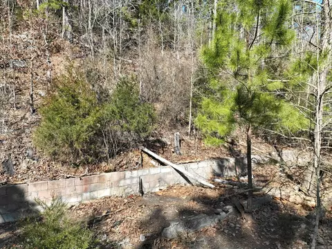 View/Area - 149 Jerry Ln, Mena, AR 71953 photo 16 of 23