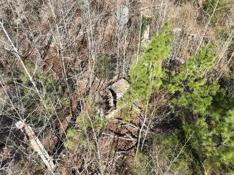 View/Area - 149 Jerry Ln, Mena, AR 71953 photo 17 of 23