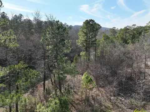 View/Area - 149 Jerry Ln, Mena, AR 71953 photo 18 of 23