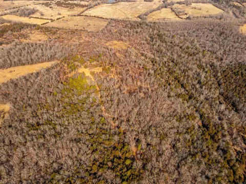 0 Hwy 56, Poughkeepsie, AR 72569 photo 33