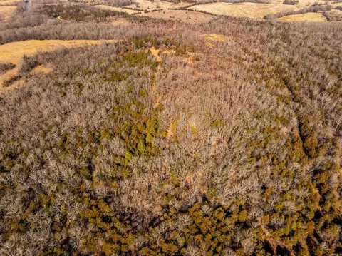 0 Hwy 56, Poughkeepsie, AR 72569 photo 35